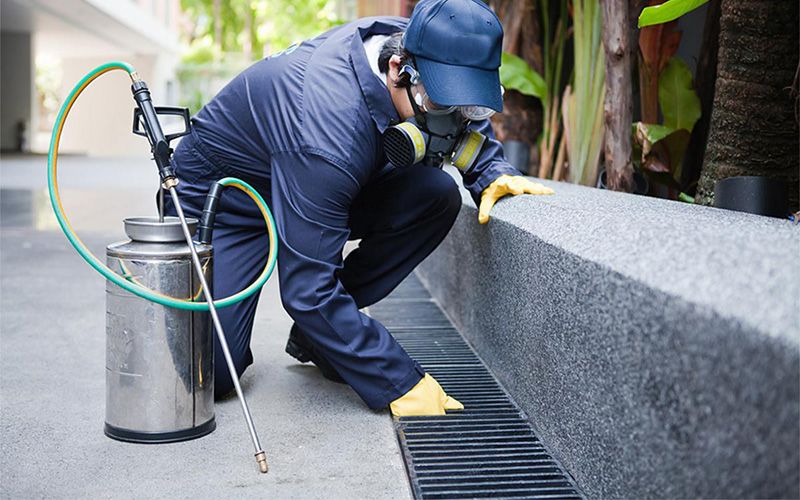 Antakya böcek ilaçlama profesyonel ekip